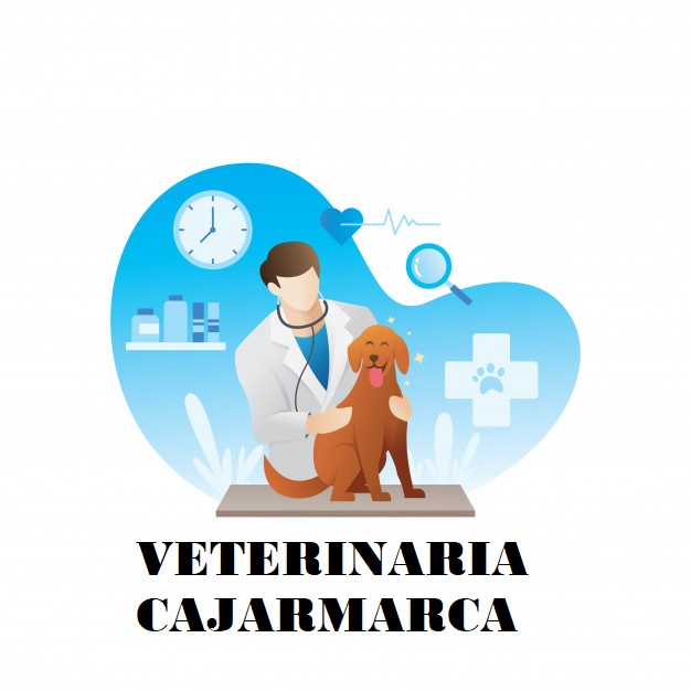 Veterinaria Cajamarca